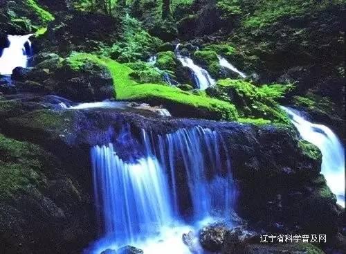 塞尔达荒野之息